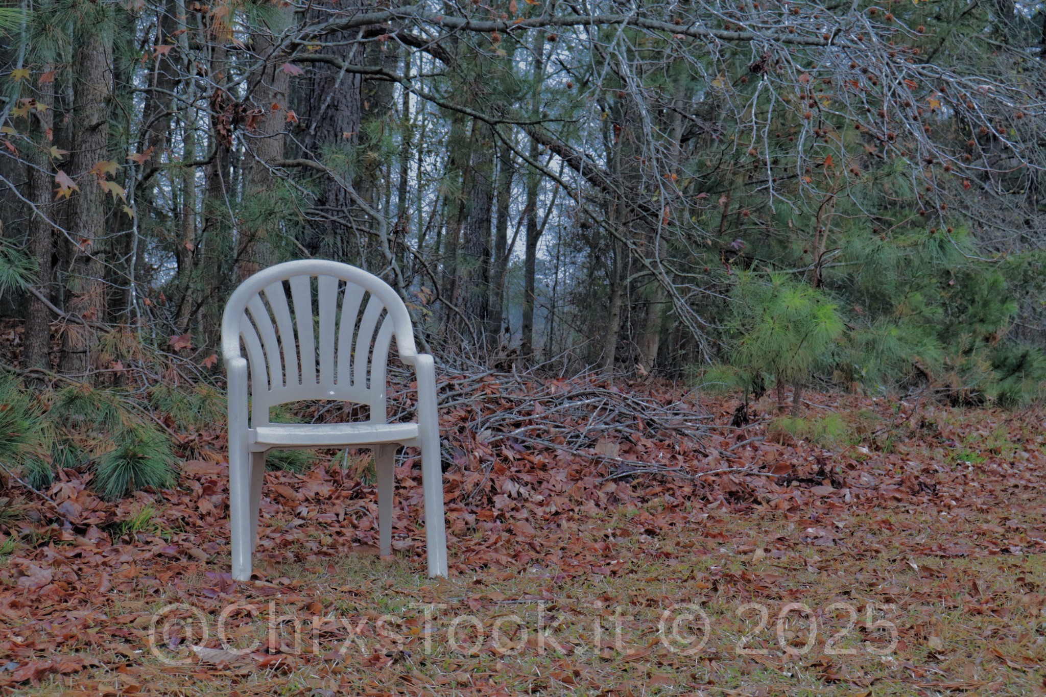 Spartanburg, SC | Taken on a Sony R100 camera with a RF-S18-45mm lens