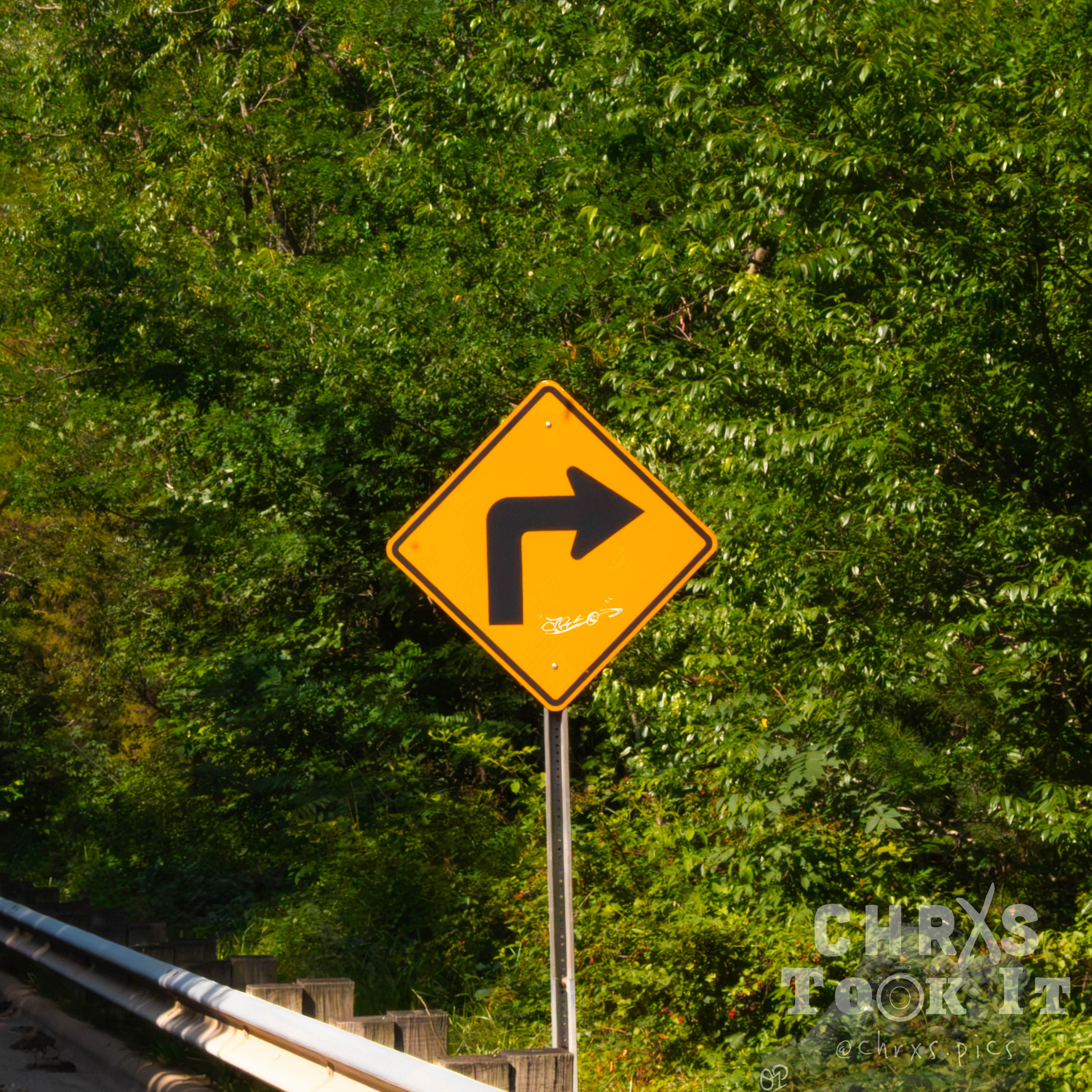 A yellow diamond road sign marked with graffiti tags on a winding mountain road, surrounded by greenery.