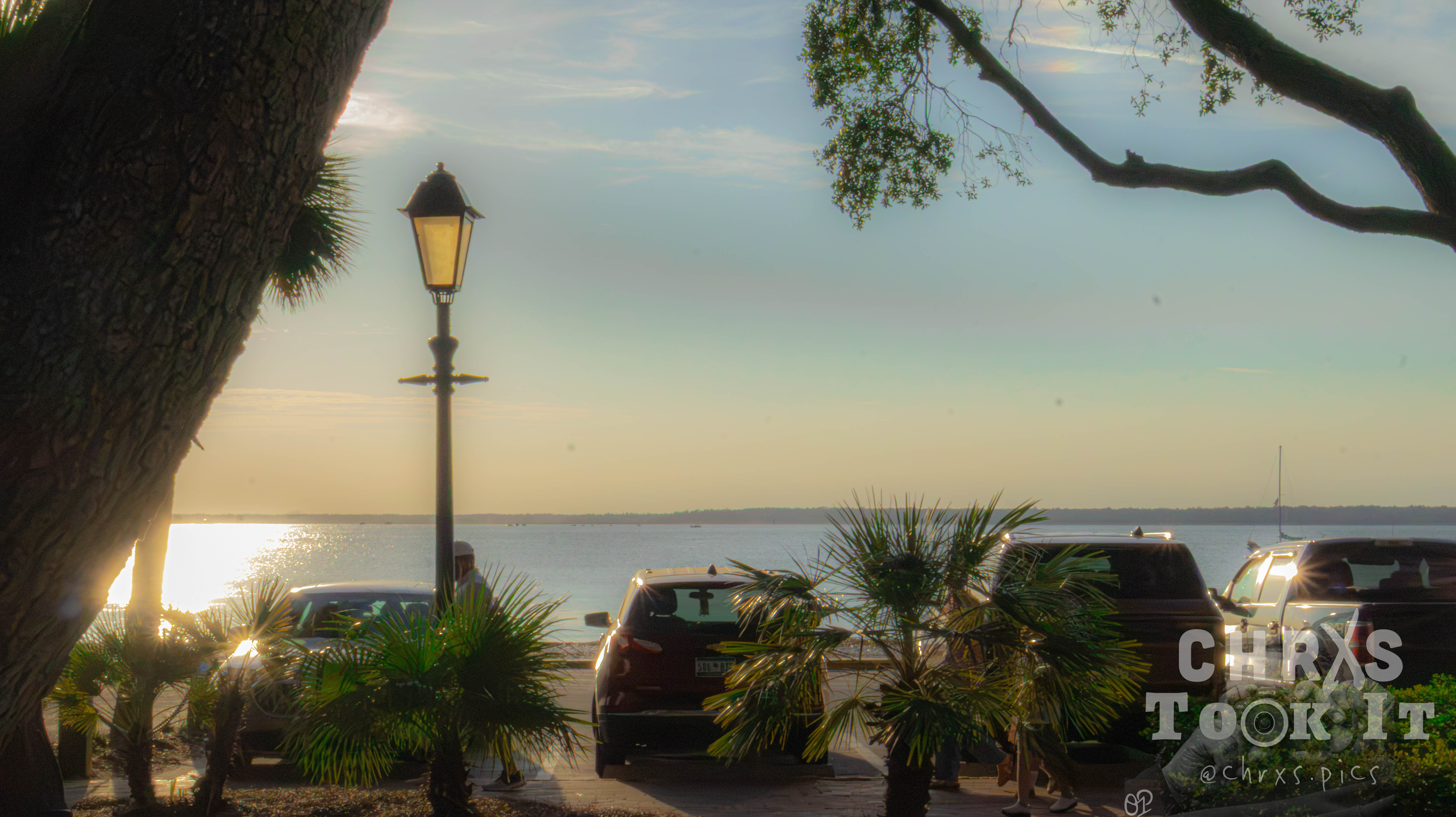 Silhouette of a lamp post against a colorful sunset sky near the water, framed by tree branches.